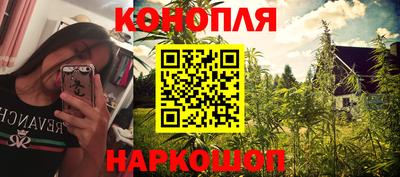 крисы Сланцы