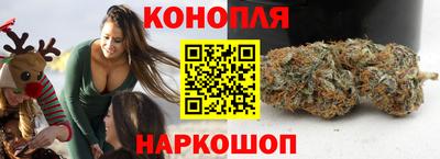 крисы Сланцы