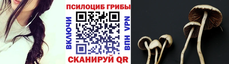 Галлюциногенные грибы Psilocybine cubensis  Слободской 