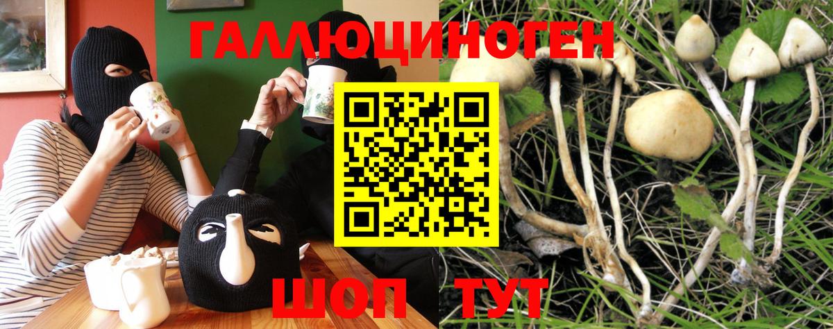 Слободской  Псилоцибиновые грибы Psilocybine cubensis  Вход с VPN 